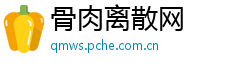 骨肉离散网